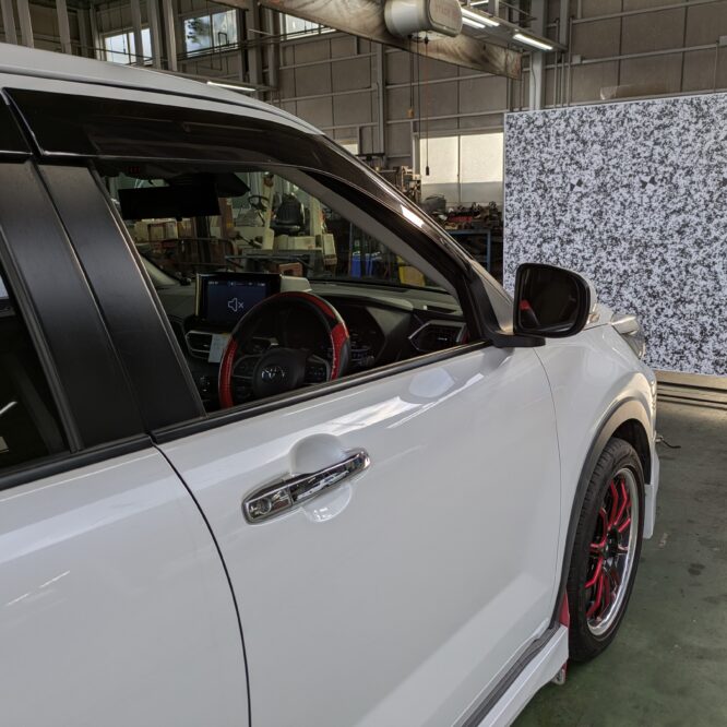 ライズ　フロントカメラ　エーミング